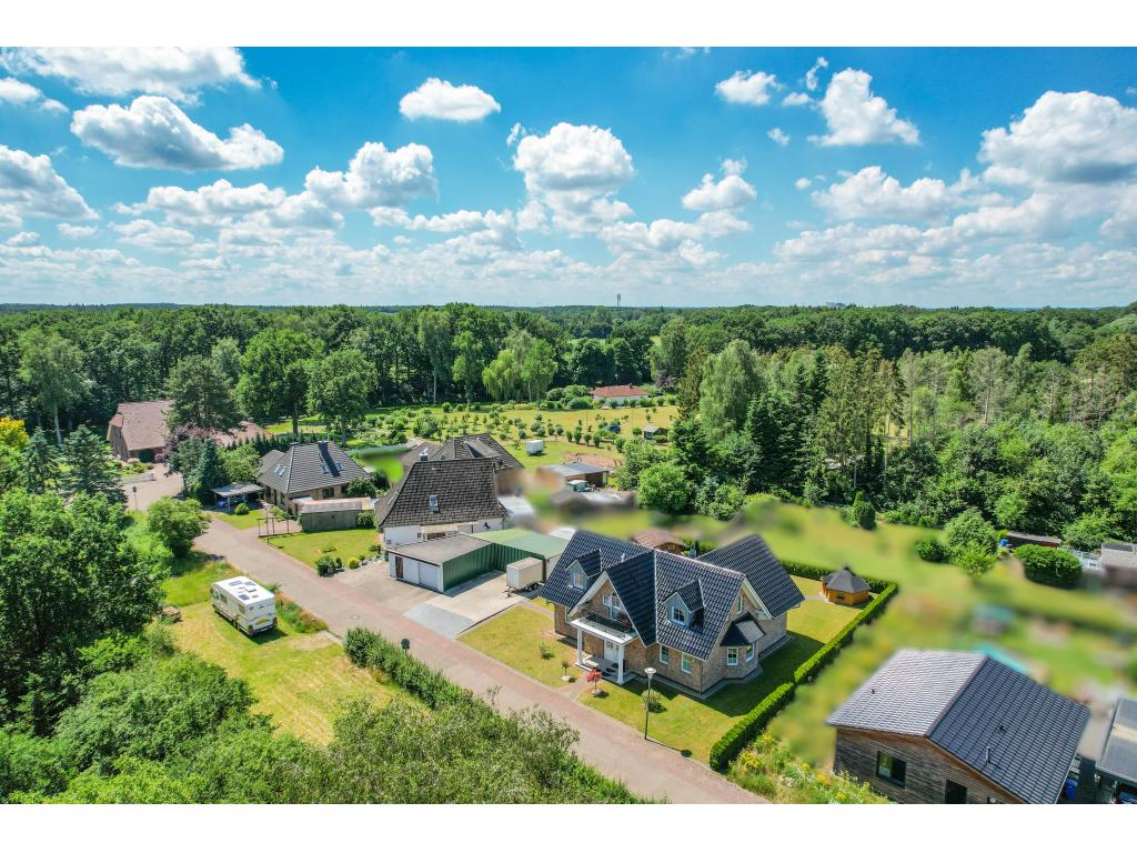 Luftbild mit Wald im Hintergrund