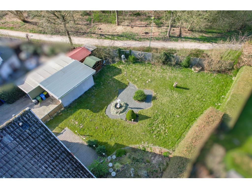 Einfamilienhaus: Garten