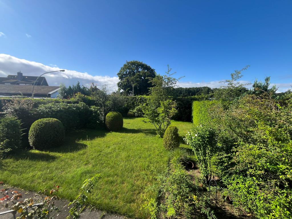 Einfamilienhaus: Garten