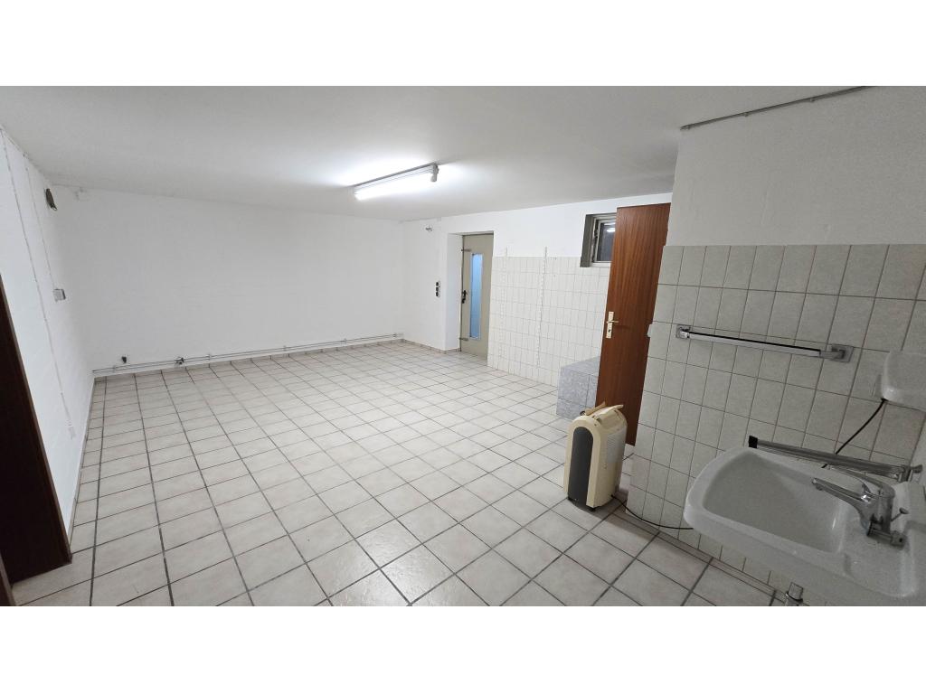 Keller mit Toilette und Waschbecken Einfamilienhaus: Keller mit Toilette und Waschbecken
