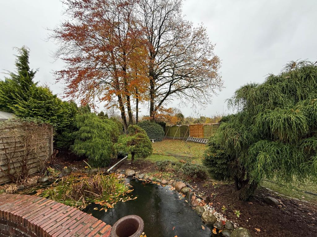 Reihenhaus: Garten mit Teich