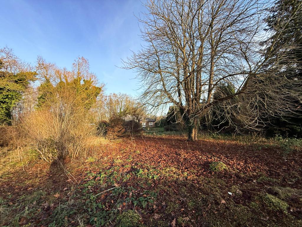 grünes Wohnen! Grundstück Wohnen: grünes Wohnen!