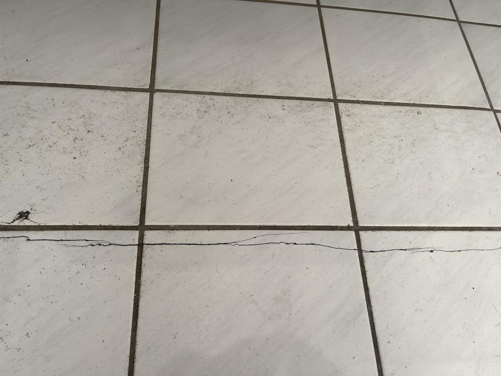 Reihenhaus: Rissbildung innen Bad