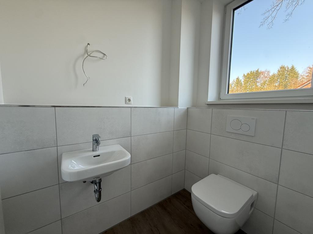 Doppelhaush&auml;lfte: G&auml;ste-WC