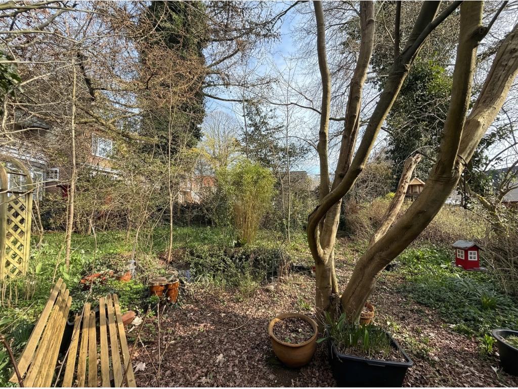 Einfamilienhaus: Garten