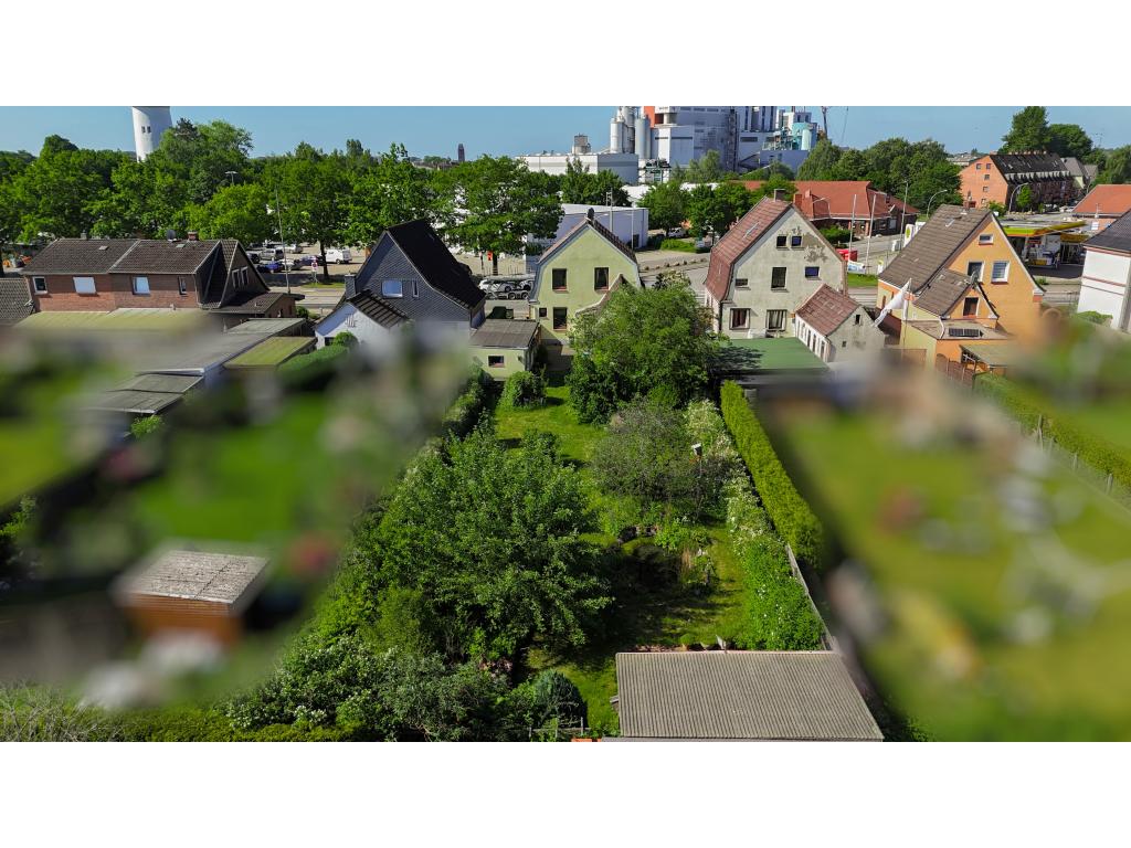 Einfamilienhaus: Gartenansicht