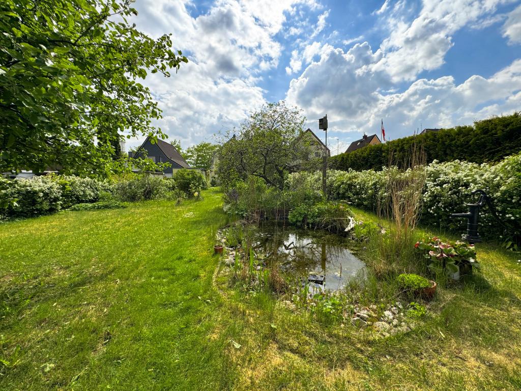 Einfamilienhaus: vorderer Gartenabschnitt
